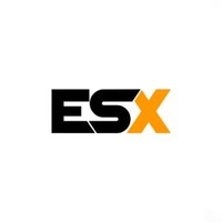 Fivem ESX