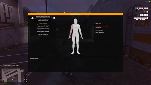 Fivem Advanced Ambulance System