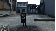 Load image into Gallery viewer, Fivem Ballistic Police Shield Custom Props
